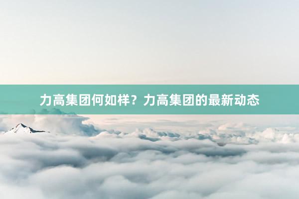 力高集团何如样？力高集团的最新动态