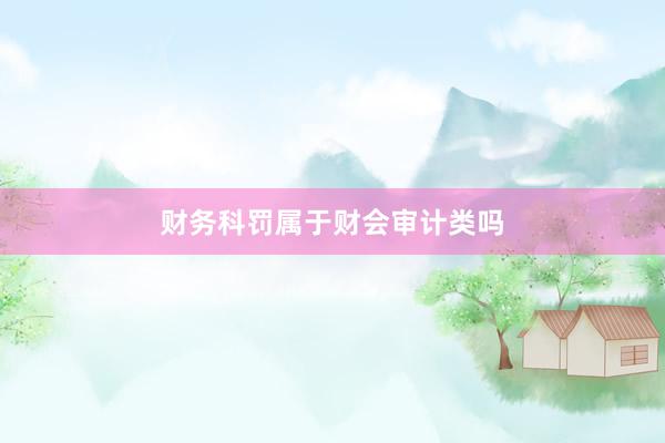 财务科罚属于财会审计类吗