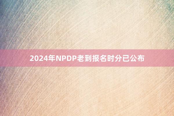 2024年NPDP老到报名时分已公布
