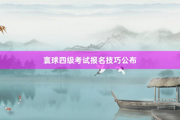 寰球四级考试报名技巧公布